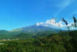 Read more about the article 7 Homestay Terbaik di Dieng